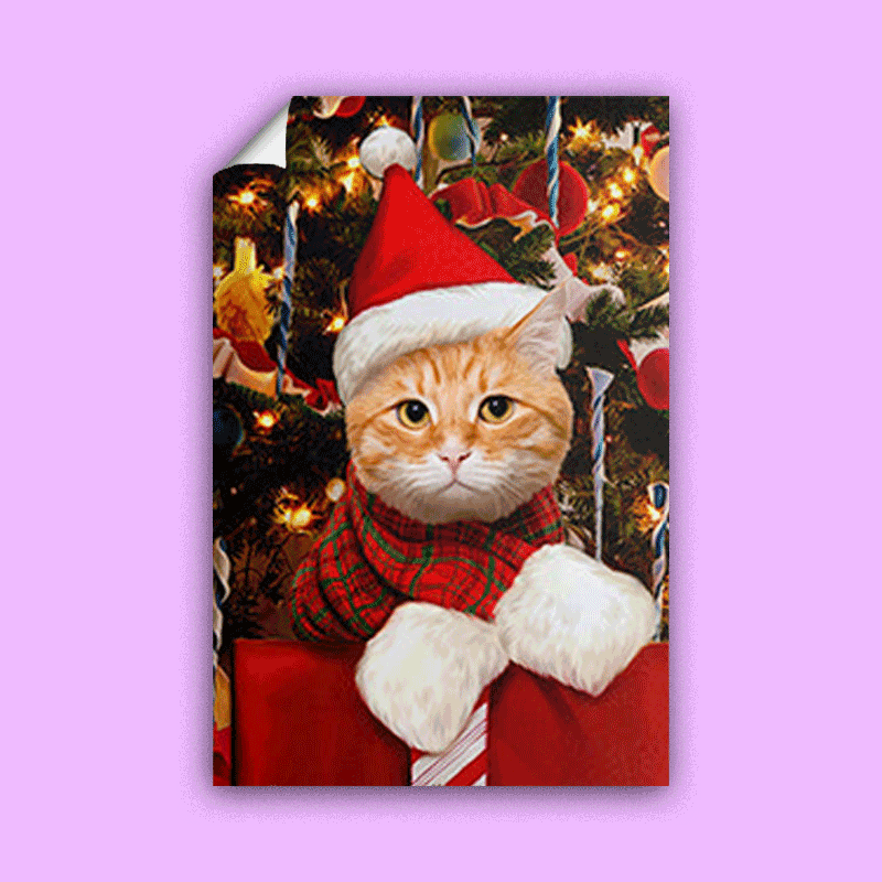 The Fluffy Present